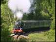 6024 in Chawton Woods